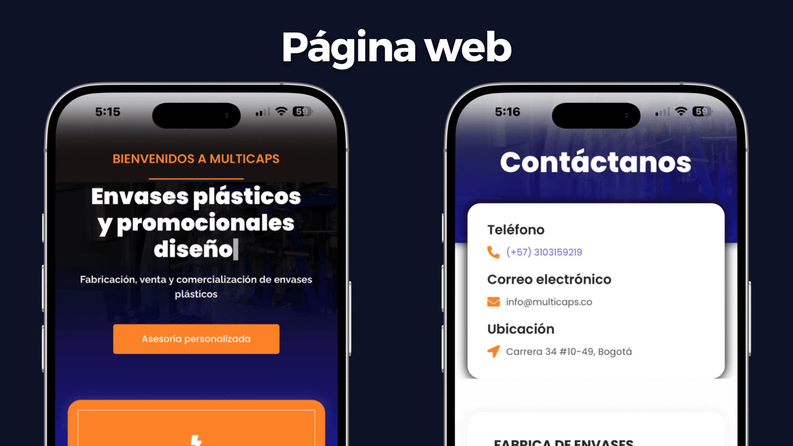 Caso de éxito Página Web - Envases Plásticos